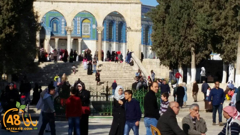 quds a7bab aqsa (21).JPG